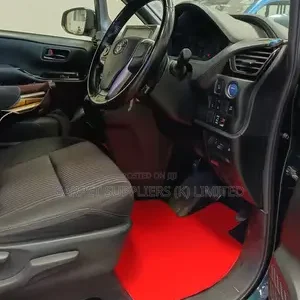 PVC Coil mat