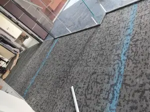 Blue Carpet Planks